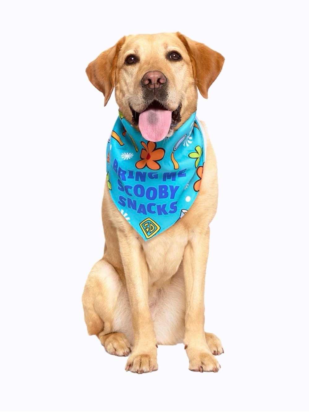 Scooby Snacks Dog Bandana